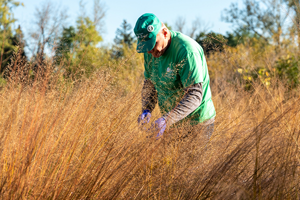 volunteer-restoration-workday-natural-resources-600-400-1